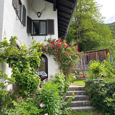 Ferienwohnung Laimer, Radau 37 Sankt Wolfgang im Salzkammergut ภายนอก รูปภาพ