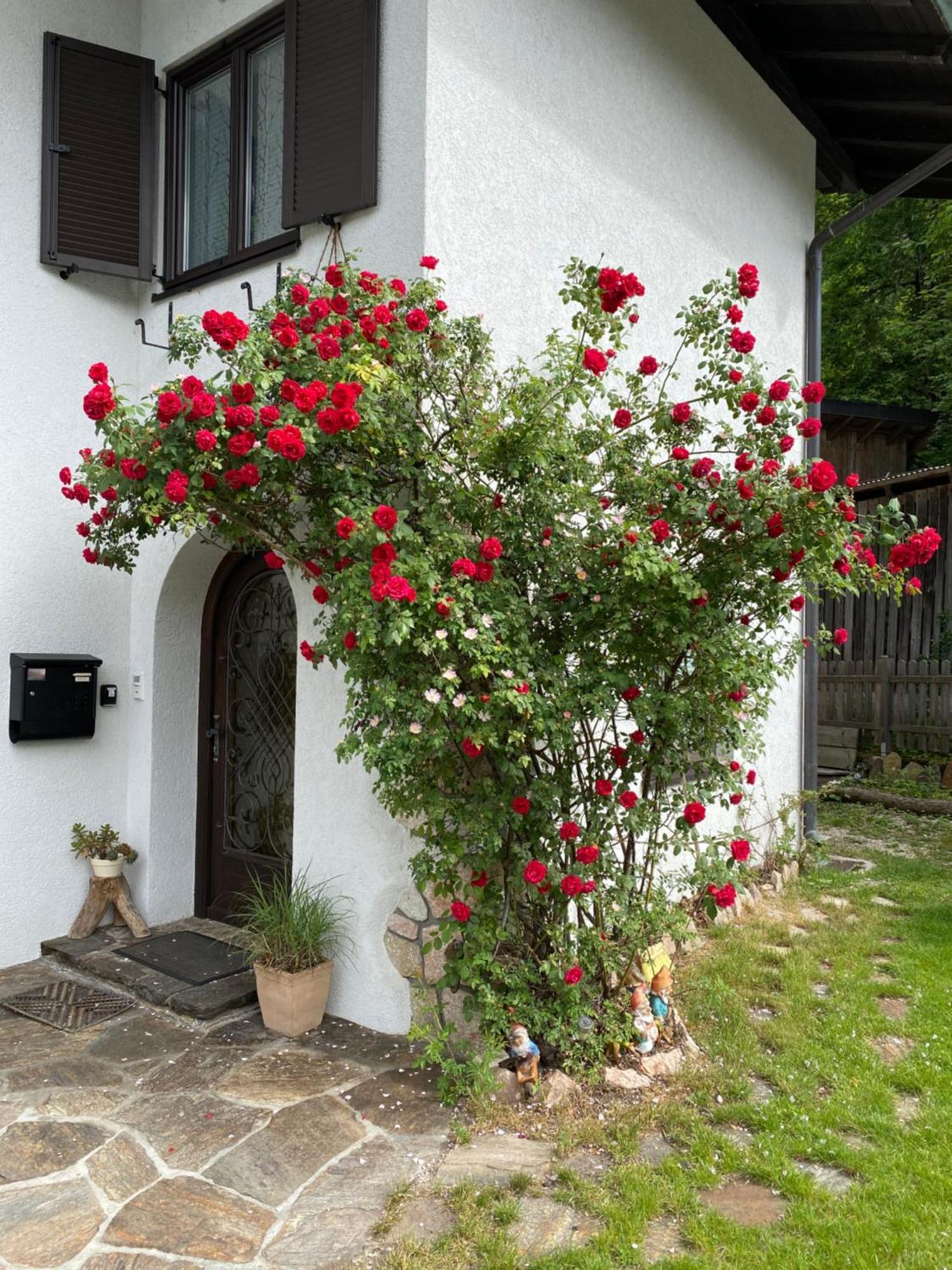 Ferienwohnung Laimer, Radau 37 Sankt Wolfgang im Salzkammergut ภายนอก รูปภาพ