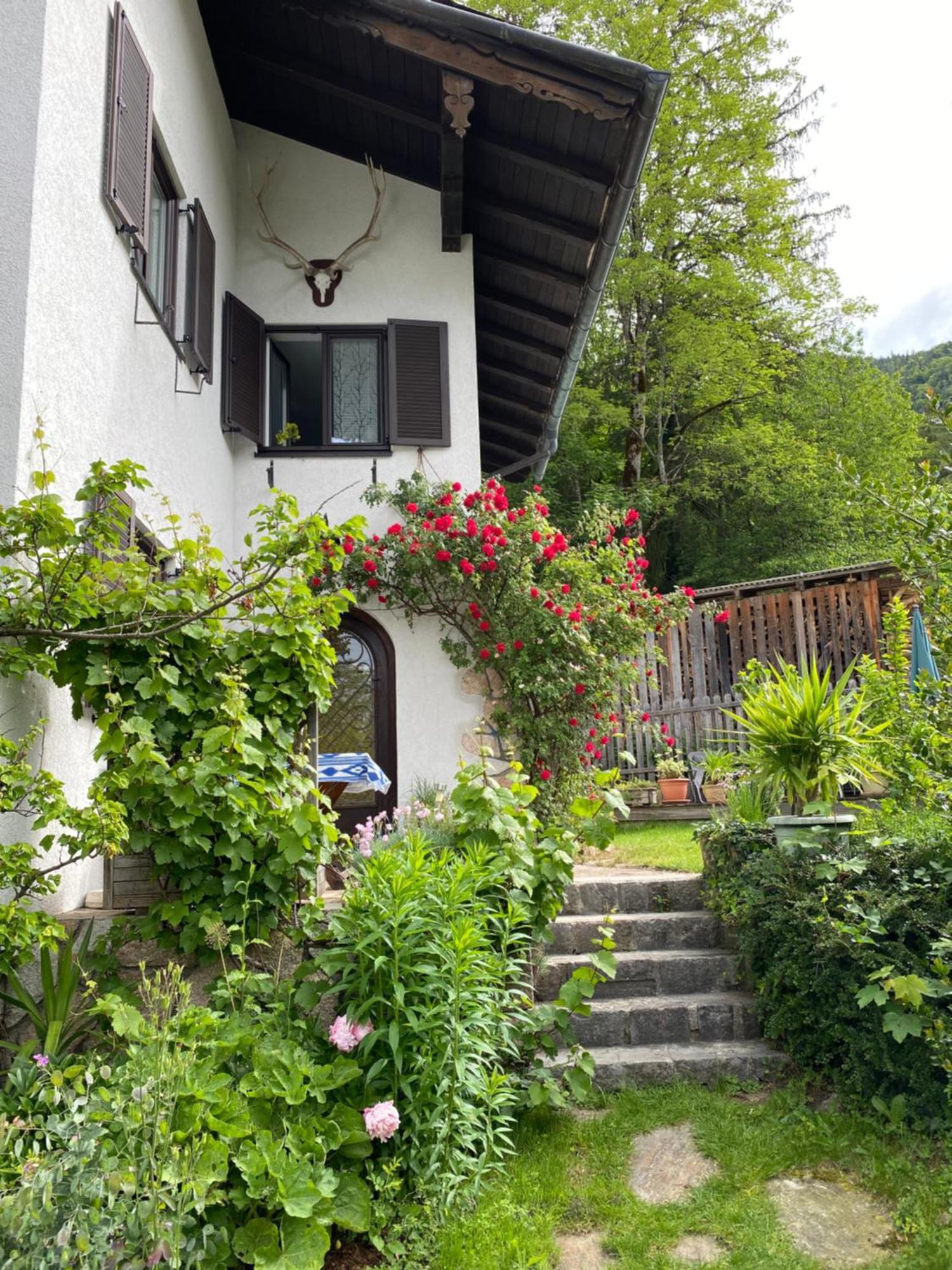 Ferienwohnung Laimer, Radau 37 Sankt Wolfgang im Salzkammergut ภายนอก รูปภาพ